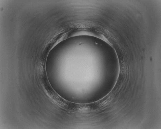 X0000067390456200604031037