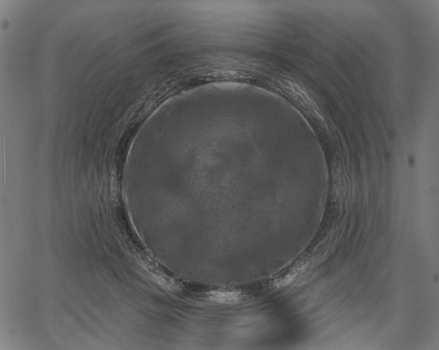 X0000067390457200604031037