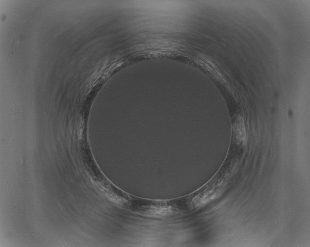 X0000067390458200604031037