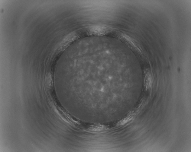 X0000067390459200604031037