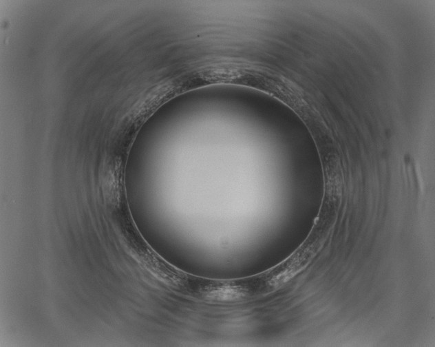 X0000067390460200604031037