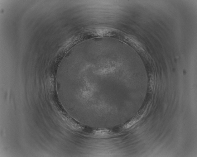 X0000067390461200604031037