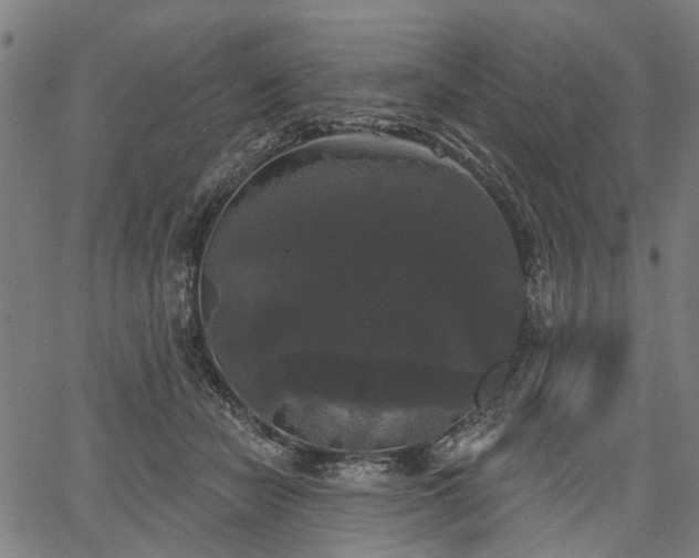 X0000067390462200604031037