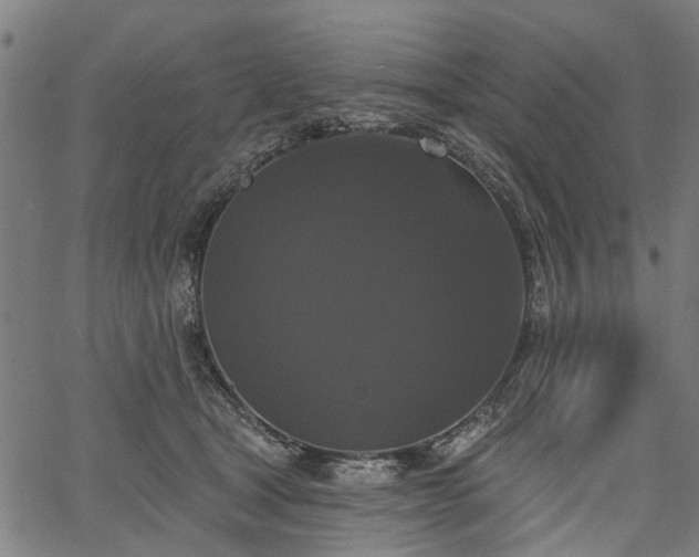 X0000067390465200604031037