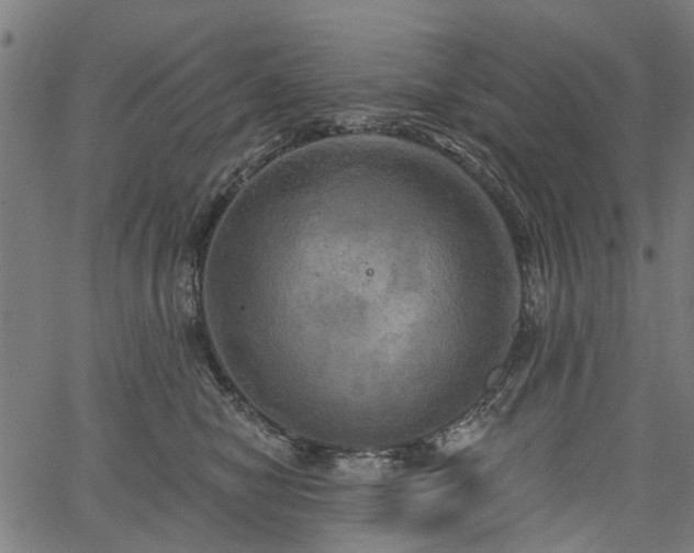 X0000067390470200604031037