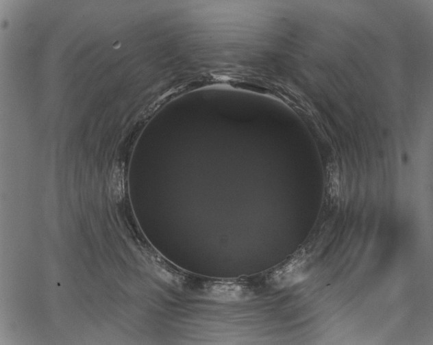 X0000067390471200604031037