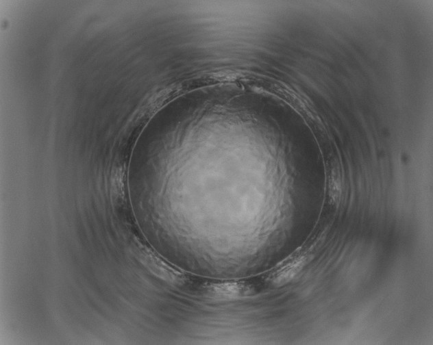 X0000067390473200604031037