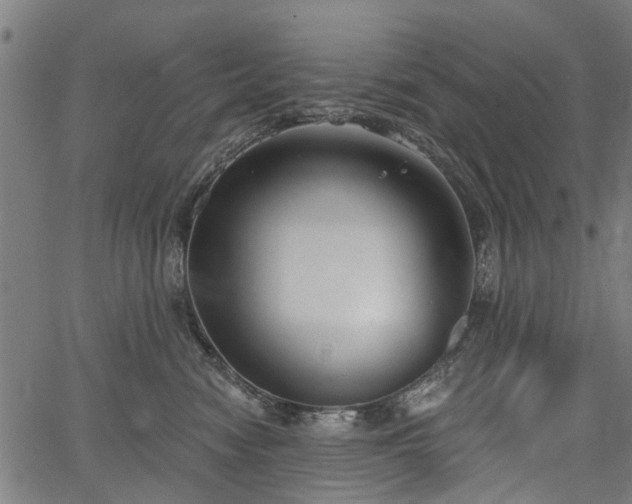 X0000067390474200604031037