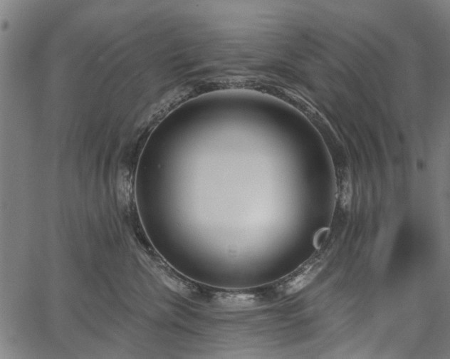 X0000067390476200604031037