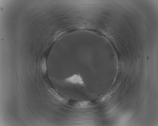 X0000067390479200604031037