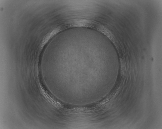 X0000067390482200604031036