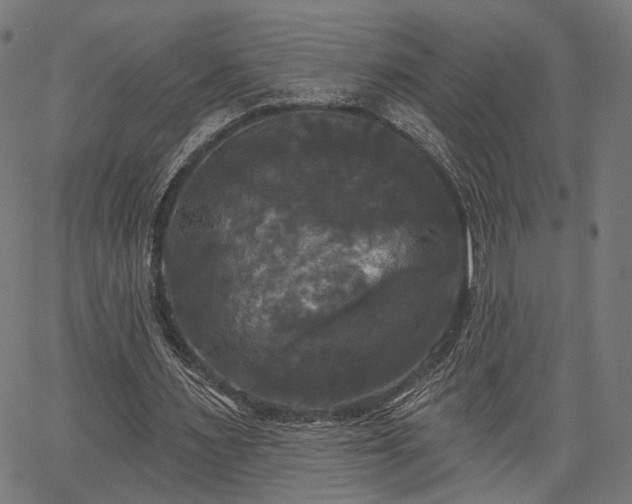 X0000067390483200604031036