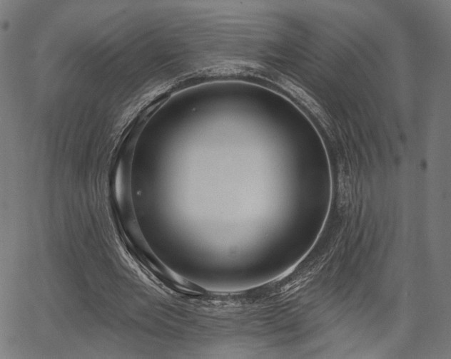 X0000067390485200604031036