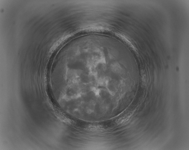 X0000067390487200604031036