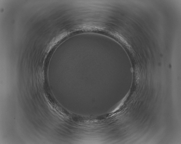 X0000067390488200604031036