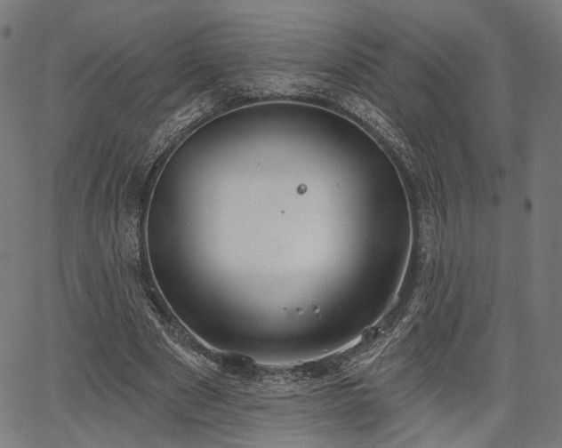 X0000067390489200604031036