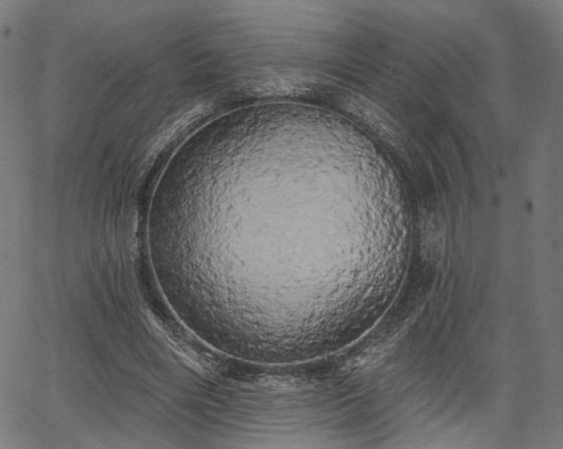 X0000067390490200604031036