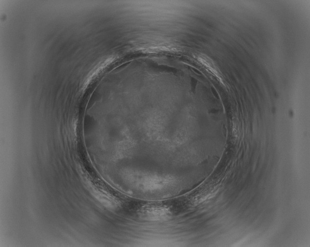 X0000067390491200604031036