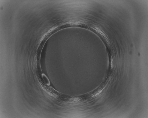 X0000067390492200604031036