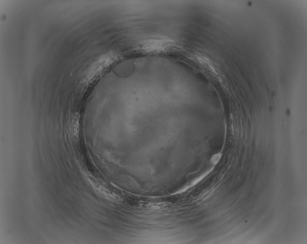 X0000067390495200604031036