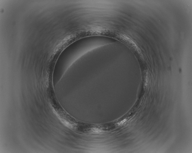 X0000067390496200604031036