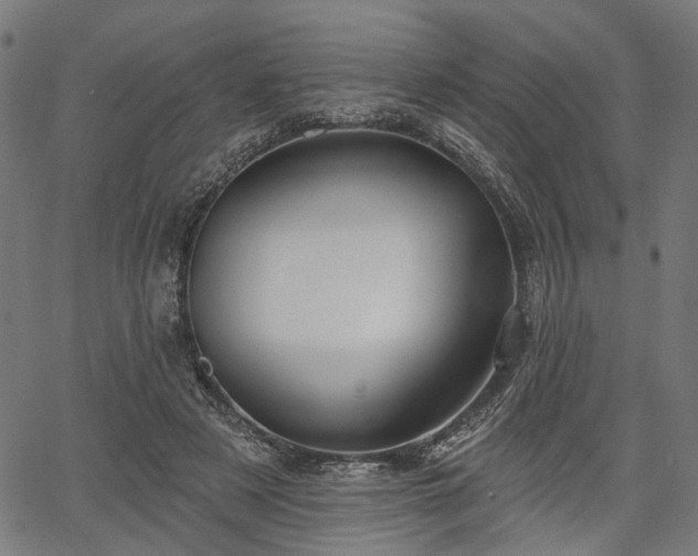 X0000067390497200604031036