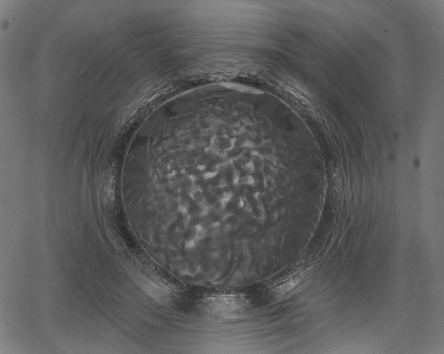 X0000067390499200604031036