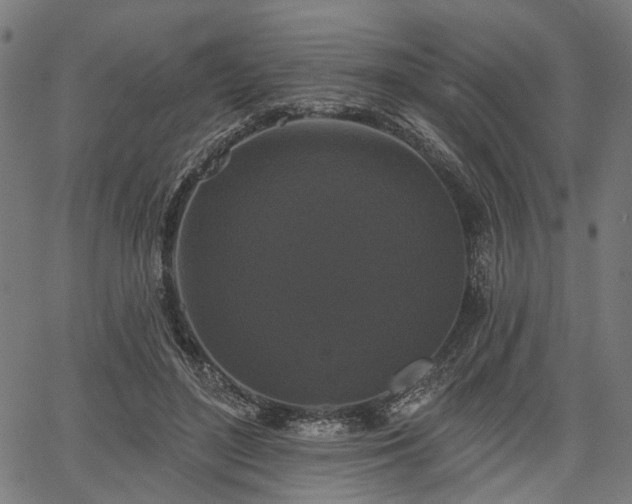 X0000067390500200604031036