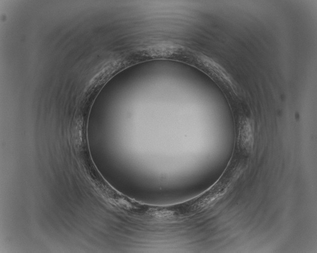 X0000067390501200604031036