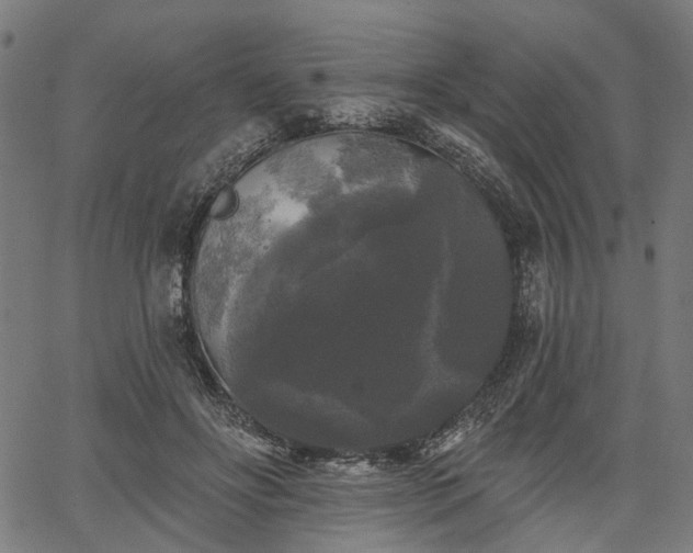 X0000067390502200604031036