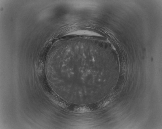 X0000067390503200604031036