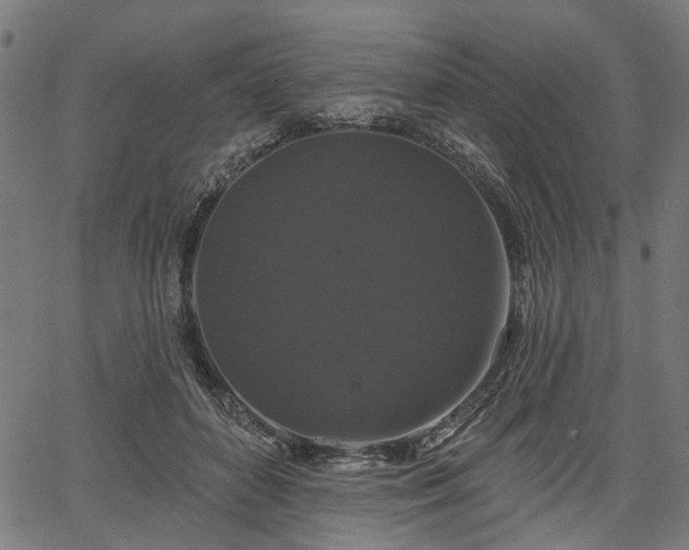 X0000067390504200604031036