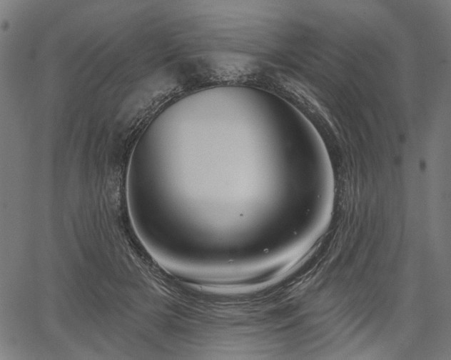 X0000067390505200604031036