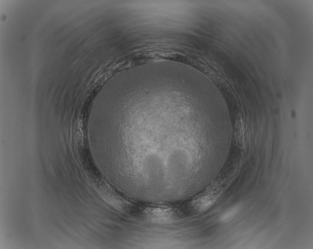 X0000067390506200604031036