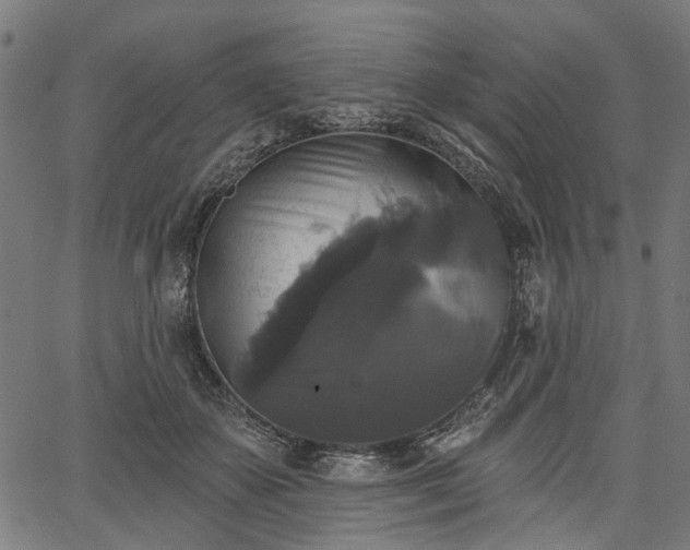 X0000067390507200604031036