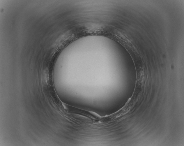 X0000067390508200604031036