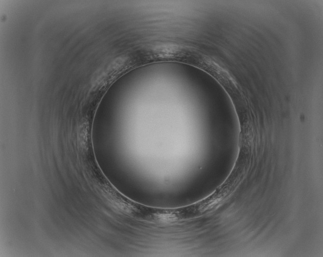 X0000067390509200604031036