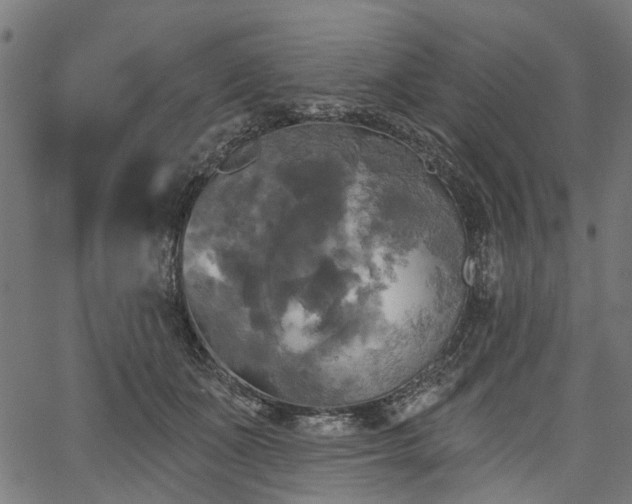 X0000067390511200604031036