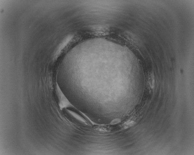 X0000067390512200604031036