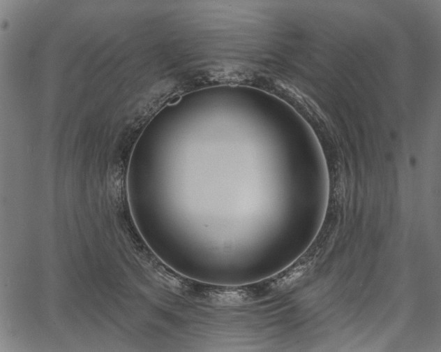 X0000067390513200604031036