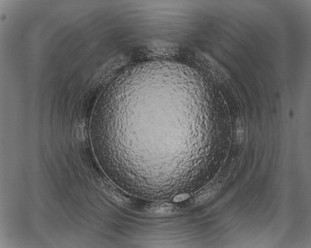 X0000067390514200604031036