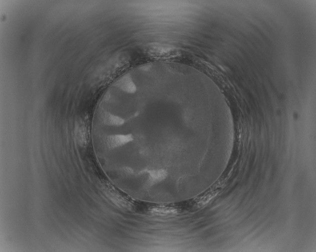 X0000067390515200604031036