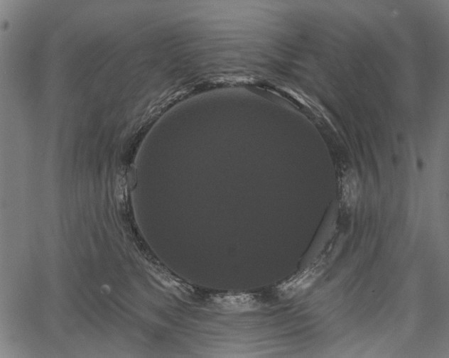 X0000067390517200604031036