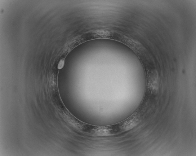 X0000067390518200604031036