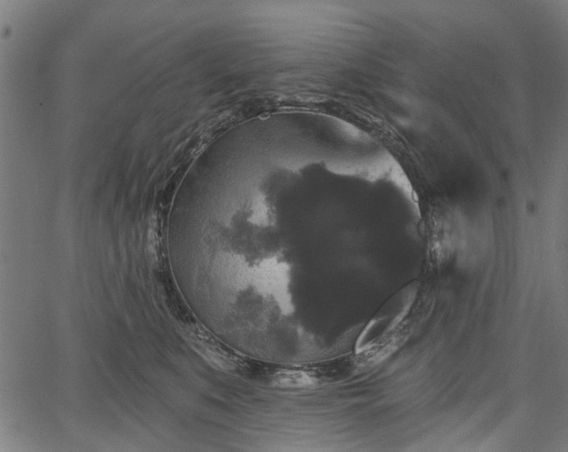 X0000067390519200604031036