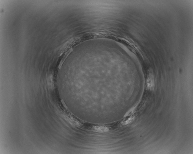 X0000067390520200604031036