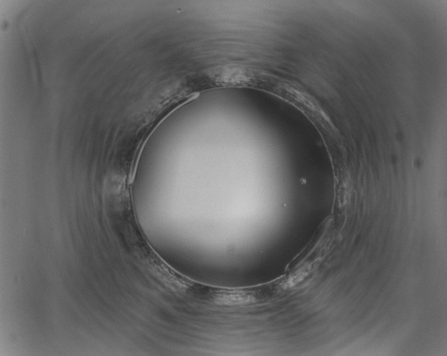 X0000067390521200604031036