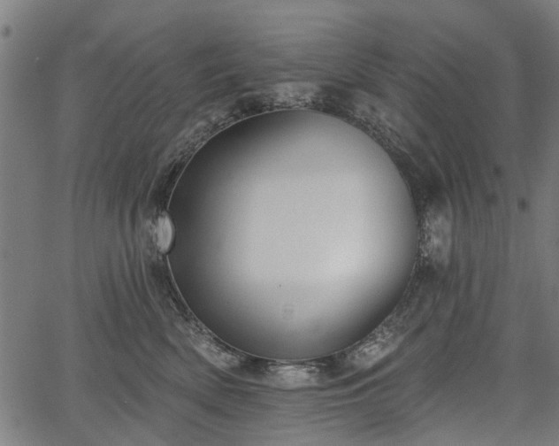 X0000067390522200604031036