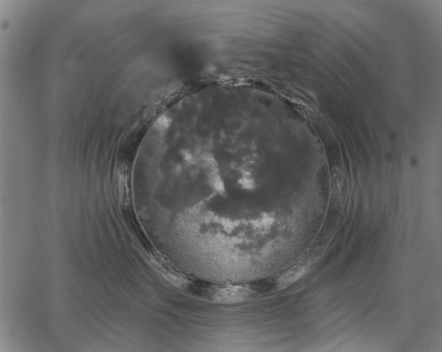 X0000067390527200604031036