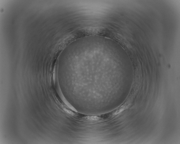 X0000067390528200604031036